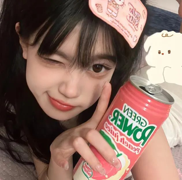 一条狗的回家路
